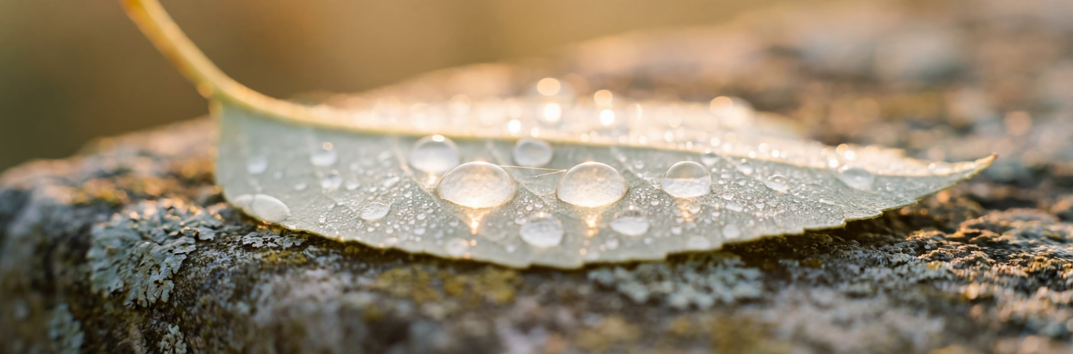 Soft watercolor of an open hand releasing light